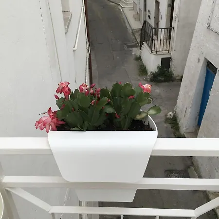 Casa Carlotta * Остуни